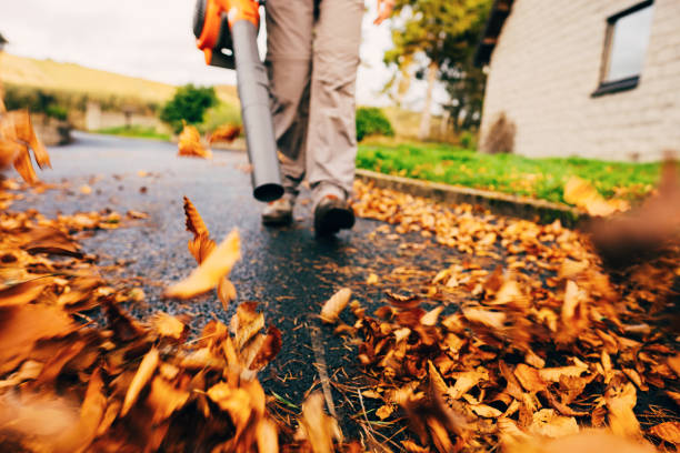 Herbstzeit ist Reinigungszeit...